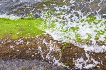 Waves at the water edge