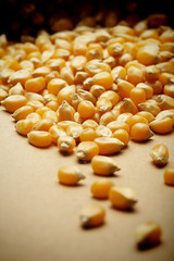 The grain corn in small sack