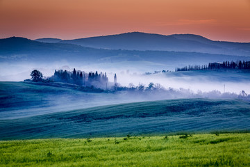 Farm of olive groves and vineyards in foggy sunrise