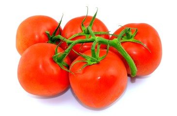 tomatoes