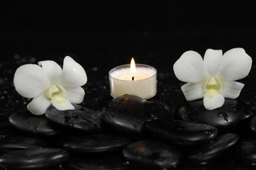 Fototapeta na wymiar Two white orchid with white candle and therapy stones