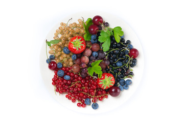 assorted garden berries on a plate, top view, isolated
