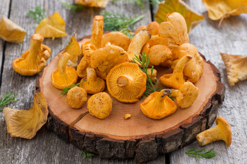 fresh chanterelle mushrooms on a wooden background, top view
