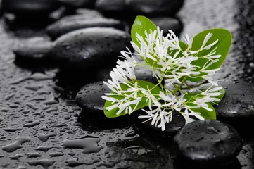 Fototapete Rund Zen stones and white flower with leaf on wet background © Mee Ting