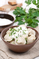 traditional Russian dumplings with sour cream and dill, vertical