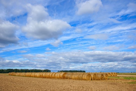 Field, plowed after the harvest with big round straw bales