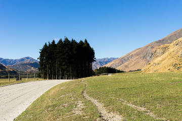 Picturesque landscape