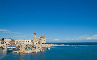 Fototapeta na wymiar Panoramic view of Trani. Puglia. Italy.