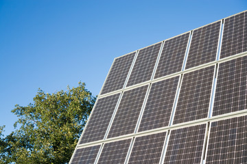 Solar panel and tree