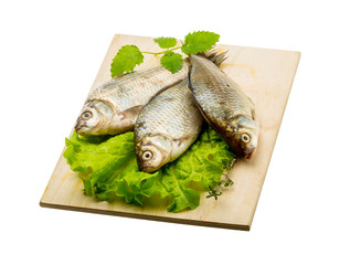 Crucian fish