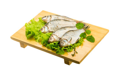 Crucian fish