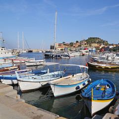 Fototapeta na wymiar Boats in the small harbor of Giglio Island