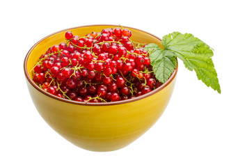 Red currant