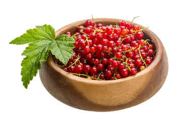 Red currant