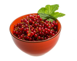Red currant