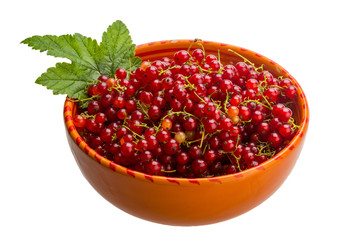 Red currant