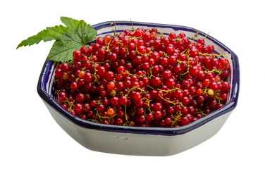 Red currant