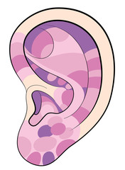 Ear reflexology areas pink