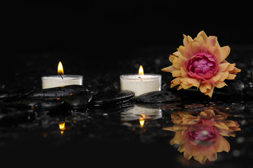 Obraz na płótnie Canvas ranunculus flower and two candle reflection