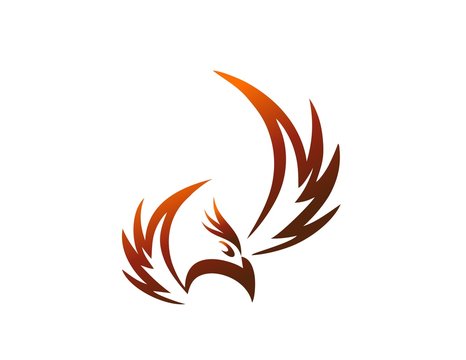 bird logo,phoenix flying,wings icon symbol