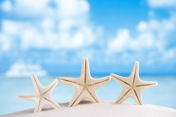 Fototapeta na wymiar white starfish with ocean, boat, white sand beach, sky and seasc