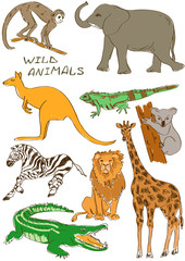 Naklejka premium Set of isolated wild animals