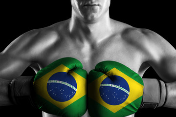 Black and white fighter with Brazil color gloves