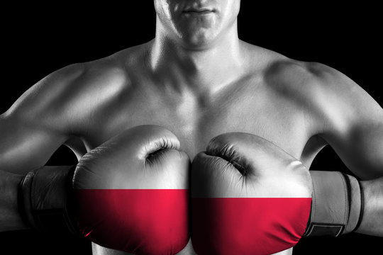 Fototapeta Black and white fighter with Poland color gloves