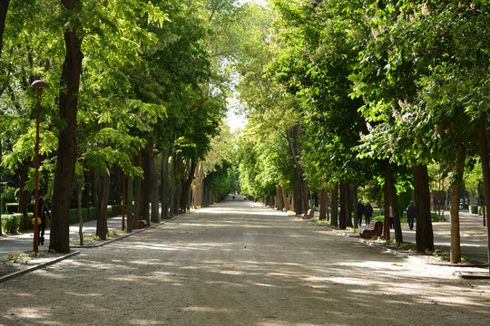 paseo de la isla en burgos