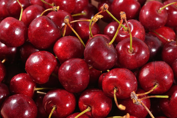Red cherries close up
