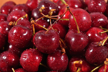 Red cherries close up