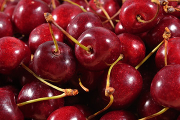 Red cherries close up