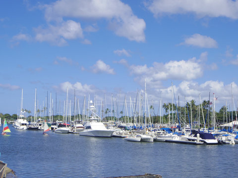 Fototapeta ハワイのヨットハーバー