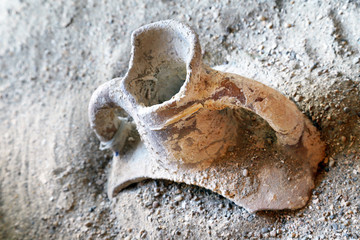 Shard of Roman amphora