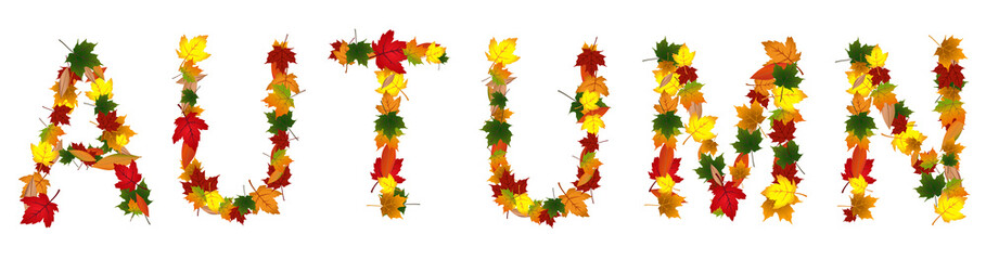 Vector format of word Autumn created from leafs