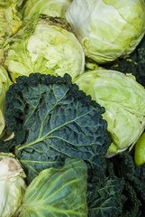 Savoy and cabbage