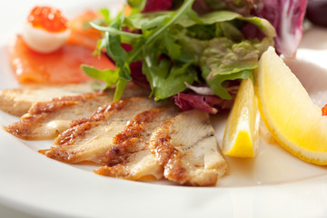 Fish Plate
