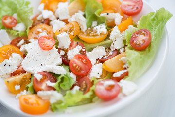 Close-up of tomatoes and cheese salad, horizontal shot