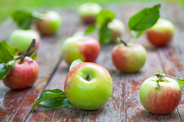 Apples are good for your health