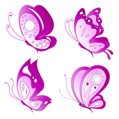 butterflies design