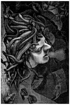 La M&eacute;duse - Medusa (from : da Vinci)