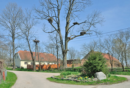 Zywkowo Images Browse 5 Stock Photos, Vectors, and Video Adobe Stock