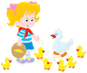 Obraz na płótnie Canvas Girl feeding ducklings