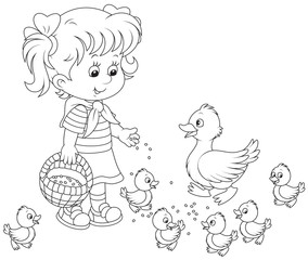 Girl feeding ducklings