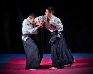 Fight between two aikido fighters