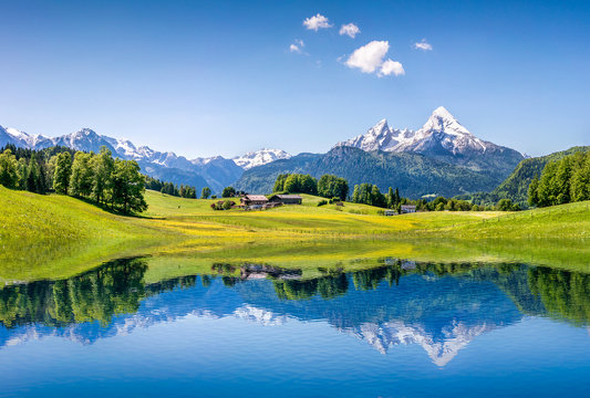 Idyllic Summer Landscape With Mountain Lake And Alps