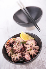 octopus