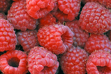 raspberries background