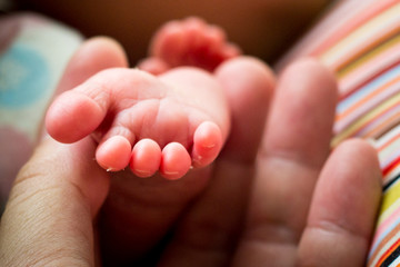 Feet of baby.