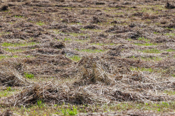 A harvested hay field in the fall